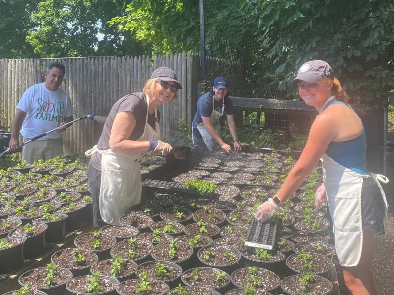 volunteers planting at urban farm
