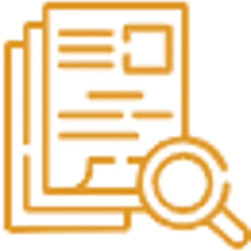 Icon of paperwork with a magnifying glass.